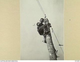 NEW GUINEA. 1944-04-04. VX125503 SIGNALMAN L. DAUGHTY (1), 23RD LINE SECTION, 18TH LINES OF COMMUNICATION SIGNALS, TESTING FOR A BREAK ON THE 200 POUND COPPER LINE BETWEEN JAP LADDER AND NAURO