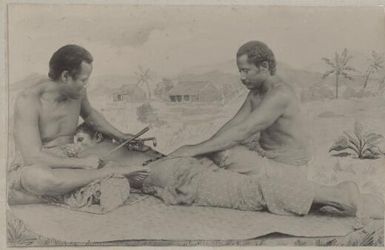 Samoan tattooist at work, Samoa, 1895 / Andrew