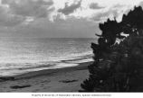 Bikini Island's lagoon beach during late afternoon, summer 1964