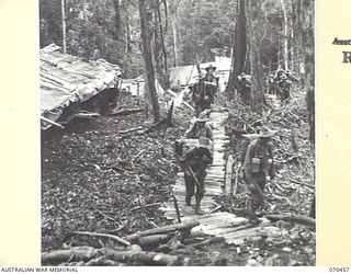 KANKIRYO SADDLE, FINISTERRE RANGE, NEW GUINEA, 1944-02-15. "B" COMPANY, 57/60TH INFANTRY BATTALION MOVING UP KANKIRYO SADDLE ALONG STEPS CUT BY THE 2/9TH BATTALION. THEY ARE ON THE MARCH TO RELIEVE ..
