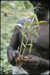 Man holding plant