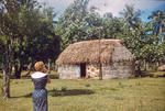 Local house - Tonga