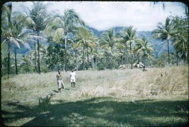 Vivigani plain and two villagers : Goodenough Island, D'Entrecasteaux Islands, Papua New Guinea, 1956-1958 / Terence and Margaret Spencer