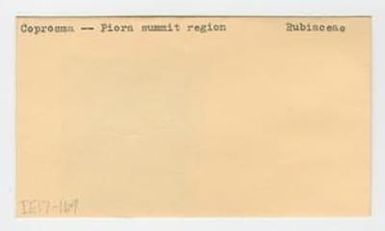[Coprosma in Papua New Guinea, envelope IE17-169]