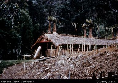 Man's house and interior