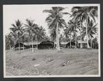 Quonset huts from the Second World War, Lorengau, Manus Island, Papua New Guinea, Sep 1949