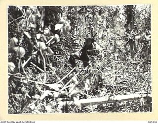 KILIGIA, NEW GUINEA. 1944-03-20. MR. PAUL BECKER OF THE AUSTRALIAN PUBLIC RELATIONS FIELD UNIT IN THE JUNGLE