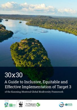 A Guide to Inclusive, Equitable and Effective Implementation of Target 3 of the Kunming-Montreal Global Biodiversity Framework