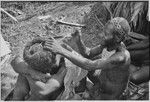 Pig festival, wig ritual: hair is pulled around wig frame