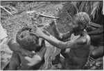 Pig festival, wig ritual: hair is pulled around wig frame