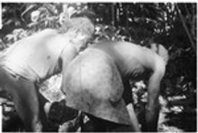 Smothering the pig for sacrifice, Kwailale'e