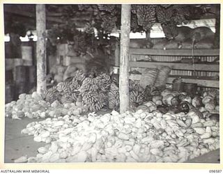 WAU, NEW GUINEA. 1945-10-17. STORAGE SHEDS AT THE FARM OPERATED BY MEMBERS OF 5 INDEPENDENT FARM PLATOON. THE UNIT IS SITUATED IN THE WAU VALLEY NEAR THE SITE OF THE PRE- WAR WAU FARM