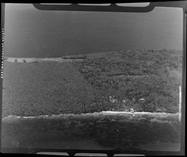 Plantation, New Hanover (Lavongai) Island, Bismarck Archipelago, Papua New Guinea