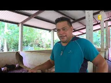 WF - Agriculture biologique : Litière sèche - Wallis et Futuna 1ere - Octobre 2017