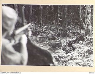 BOUGAINVILLE. 1945-04-05. DEAD JAPANESE SOLDIERS SCATTERED OVER THE AREA AFTER THE ATTACK AGAINST 25 INFANTRY BATTALION TROOPS ON SLATER'S KNOLL. LATER INTERROGATION OF PRISONERS OF WAR REVEALED ..