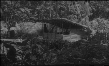 Garden houses and a shed (2) : Nissan Island, Papua New Guinea, 1960 / Terence and Margaret Spencer