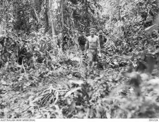 WEWAK AREA, NEW GUINEA, 1945-06-16. STRETCHER BEARERS OF 2/8 INFANTRY BATTALION CARRYING OUT CPL L.H. LENG WHO WAS WOUNDED IN THE ARM DURING A RECONNAISSANCE PATROL TO MIDDLE KNOLL. IDENTIFIED ..