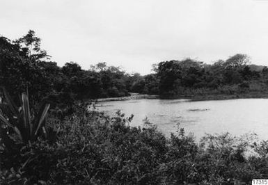 lake, landscape, swamps, photography, ph