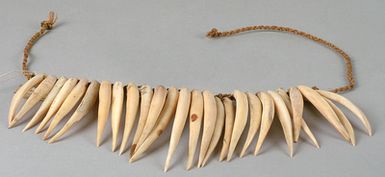 Necklace with whale teeth