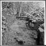 Trench behind ahu of coastal marae site 129 looking from E-W corner stone at lower right