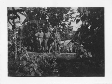 Foley, Williams, and unidentified man on fallen tree