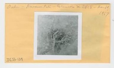 [Artemisia in Hawaii, envelope IE33-139]
