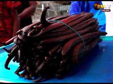 INNOVATIVE FISH PROCESSING