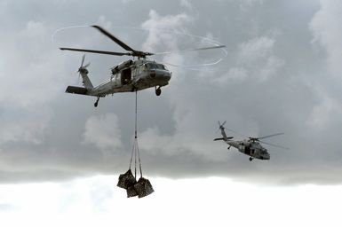 Two US Navy (USN) MH-60S Seahawk helicopters, Helicopter Sea Combat Squadron 25 (HCS-25), Naval Base Guam, transport cargo pallets during vertical replenishment (VERTREP) operations with a Military Sealift Command (MSC) combat stores ship