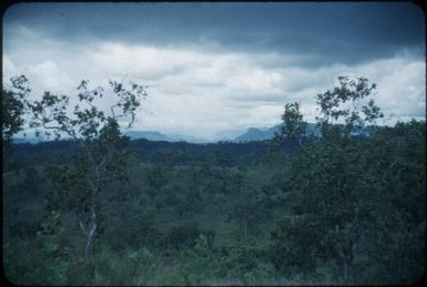 Vegetation near Port Moresby, black clouds are coming : Papua New Guinea, 1953 / Terence and Margaret Spencer