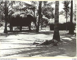 1943-10-01. NEW GUINEA. ATTACK ON KAIAPIT. KAIA PIT VILLAGE, IN THE BACKGROUND IS A DEAD JAPANESE. OVER A HUNDRED JAPANESE WERE KILLED HERE IN A SHARP CLASH WHEN THE AUSTRALIAN TROOPS TOOK THE ..