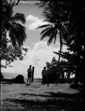 [View of palm trees and people]