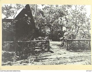 KOITAKI, PORT MORESBY AREA, PAPUA, NEW GUINEA. 1944-03-27. THE GARDEN TO THE REAR OF THE AUSTRALIAN ARMY EDUCATION SERVICE LIBRARY AT THE 113TH CONVALESCENT DEPOT PICTURING THE FERNERY. THE ..