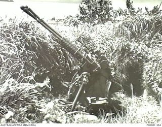 NEW BRITAIN, 1945-09. SIDE VIEW OF A JAPANESE TWIN BARRELLED QUICK FIRING ANTI-AIRCRAFT GUN IN THE RABAUL AREA. (RNZAF OFFICIAL PHOTOGRAPH.)