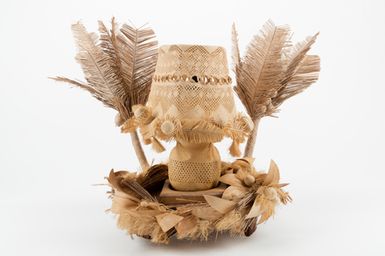 Mori rito akamanea