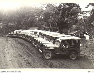 KILIGIA, NEW GUINEA, 1944-03-12. DRIVERS OF THE 5TH DIVISION TRANSPORT SECTION IN THEIR JEEPS AT THE MORNING PARADE. QX36379 DRIVER G.H. SIMS (1), IS SEEN AT THE WHEEL OF THE JEEP NEAREST THE ..