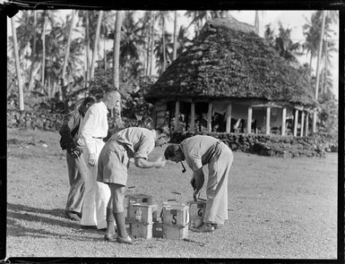 Releasing the wasps from Zanzibar by unidentified personnel, Western Samoa