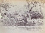 Delord's children, in Mare