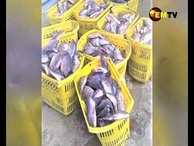 FISH FARM EXPENSION