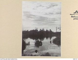 BUNA, NEW GUINEA, 1945-07-03 TO 1945-07-04. SUNEMI CREEK. IT WAS A NO MAN'S LAND BETWEEN THE JAPANESE AND THE 2/9TH INFANTRY BATTALION DURING THE BUNA/ SANANANDA CAMPAIGN AND THE SCENE OF FIERCE ..