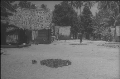 The village in black and white: note coils of pandanus leaf for mat-making (4) : Mortlock Islands, Papua New Guinea, 1960 / Terence and Margaret Spencer