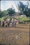 Pig festival, singsing: Tuguma men in feather headdresses at dance ground