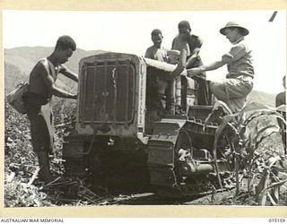 1943-06-29. NEW GUINEA. VEGETABLE GARDENS IN THE MOUNTAINS OF NEW GUINEA. THIS GARDEN SUPPLIES VEGETABLES FOR TROOPS IN THE WAU-MUBO AREA. THE MAJORITY OF THE OUTPUT GOES TO HOSPITALS AND REST ..