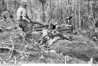 TOROKINA AREA, BOUGAINVILLE ISLAND. 1944-11-29. S24522 PRIVATE F.B. TUOHY LOOKING AT THE BODY OF A DEAD JAPANESE SOLDIER KILLED DURING THE CAPTURE OF LITTLE GEORGE HILL BY TROOPS OF NO. 18 PLATOON, ..