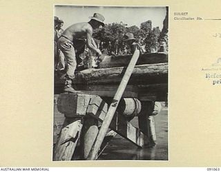 BOUGAINVILLE. 1945-04-21. SAPPER A.G. LANGEDON (1), AND SAPPER W. PARMENTER (2), 15 FIELD COMPANY ROYAL AUSTRALIAN ENGINEERS, TROOPS USING A CROSS CUT SAW ON THE BEARERS OF THE MCKINNA BRIDGE OVER ..