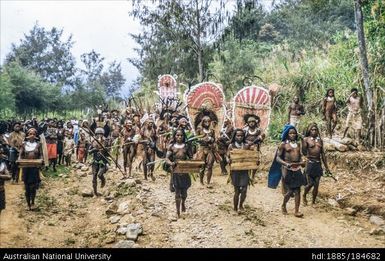 Kotuni - sing-sing approaching