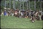 Soccer (football) match: crowd of spectators
