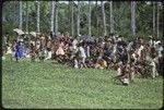 Soccer (football) match: crowd of spectators