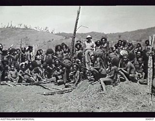 WABAG, NEW GUINEA. NATIVES OF CENTRAL NEW GUINEA BRINGING IN SUGARCANE ON THE ARRIVAL OF THE FIRST AEROPLANE. THE PILOT, F. T. O'DEA (CENTRE), LATER BECAME A RAN COASTWATCHER. (NAVAL HISTORICAL ..