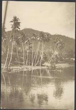 Just a few yards from Chinnery's house, Malaguna Road, Rabaul, New Guinea, ca. 1930 / Sarah Chinnery