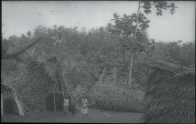 Houses (4) : Maprik, Papua New Guinea,1959 / Terence and Margaret Spencer